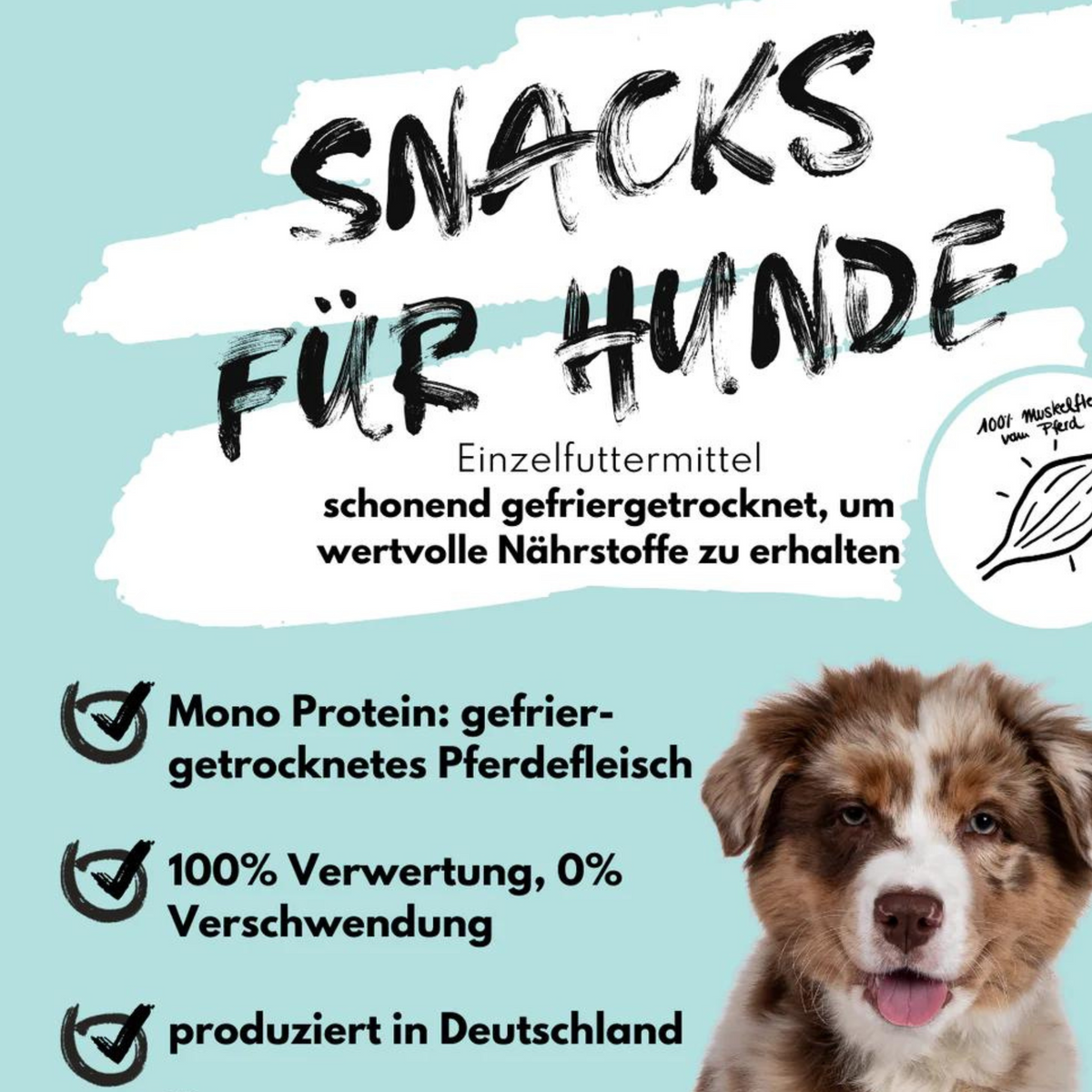 Super Leckerli aus 100% gefriergetrocknetem Muskelfleisch vom Pferd